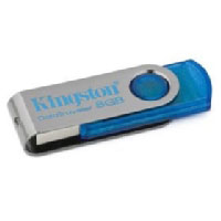 Kingston DataTraveler 101 (DT101C/8GBER)